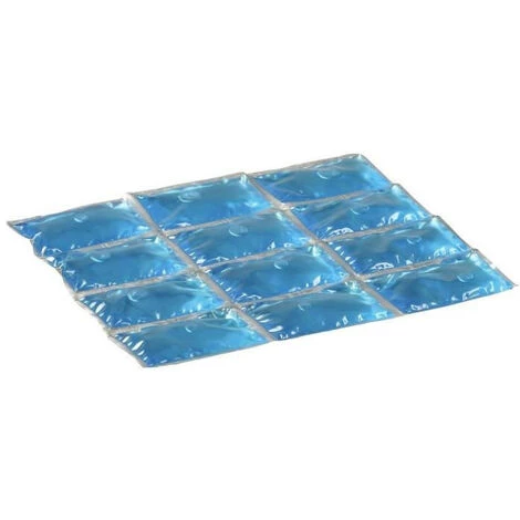 CAMPINGAZ Accumulateur De Froid Flexi Freez'Pack Medium 3 CAMPINGAZ Accumulateur De Froid Flexi Freez'Pack Medium