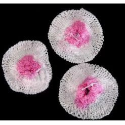 SINCèREETALI 3pcs Manchons Remplacement Pour Lampe Lanterne à Gaz Camping -Pas Cher Réchaud Boutique 63818207 4